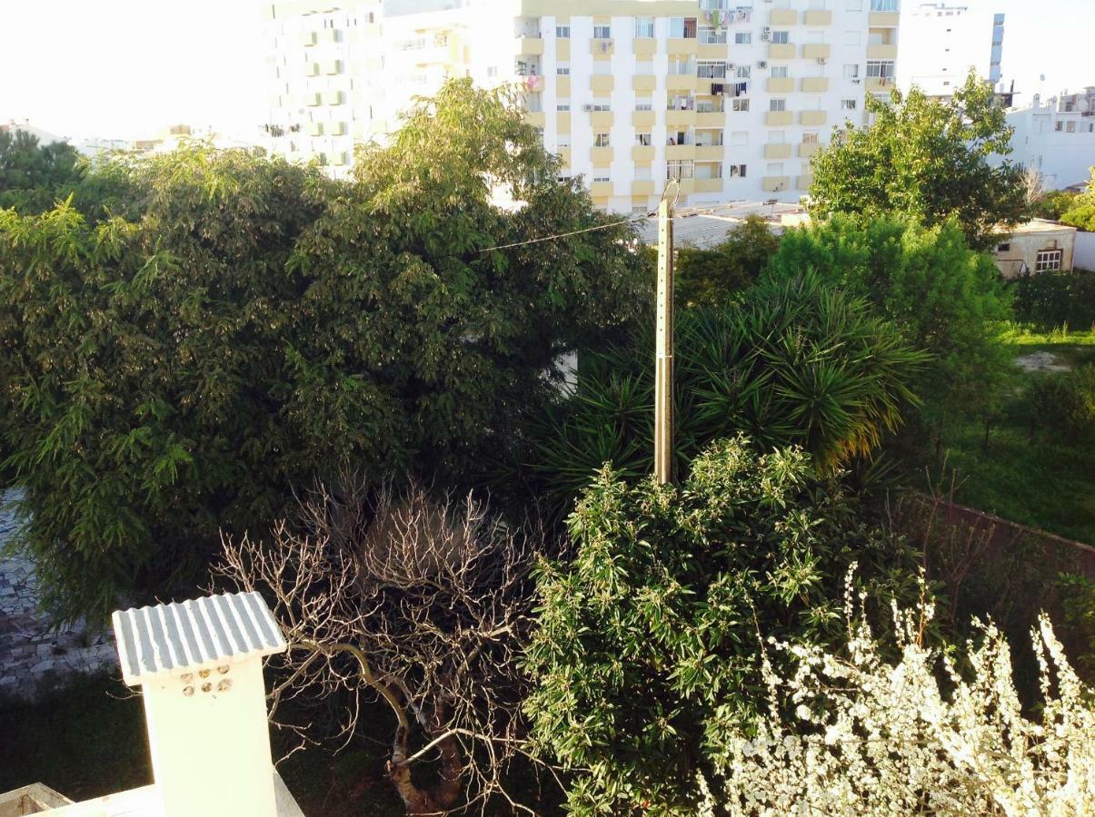 Pensao Algarve Bed & Breakfast Sao Bras de Alportel Ngoại thất bức ảnh